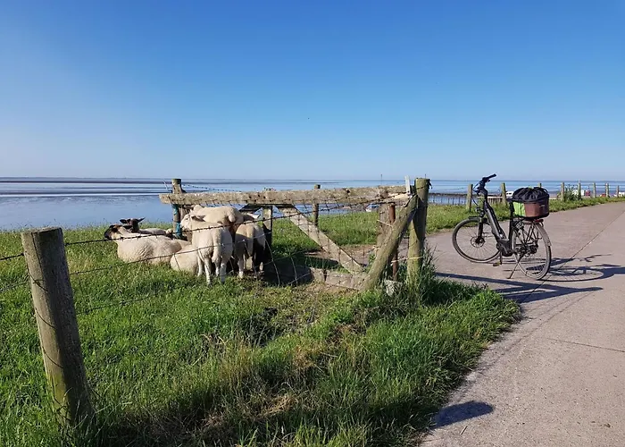 E13 Mit Garten- Terrasse Und Deichbli By Interhome Σπίτι διακοπών